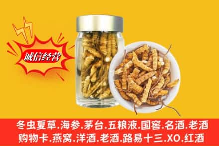 恩施州来凤县回收散虫草
