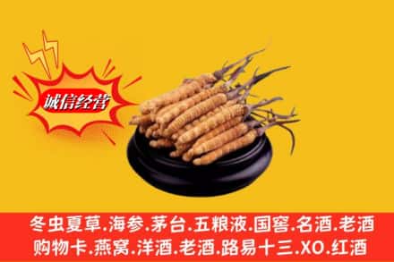 恩施州来凤县求购回收虫草多少钱每克